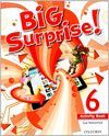 BIG SURPRISE ! 6 ACTIVITY BOOK