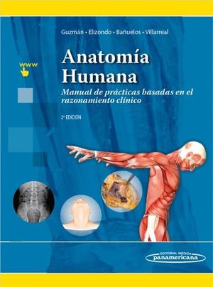 ANATOMA HUMANA