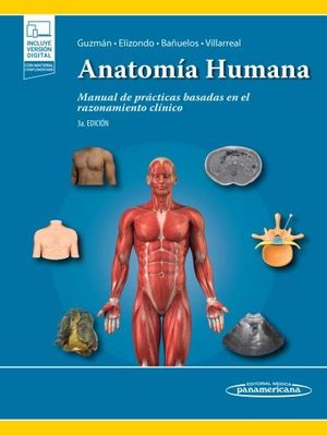 ANATOMA HUMANA