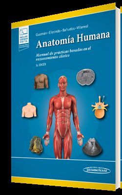 ANATOMIA HUMANA CASOS 5A ED (+E-BOOK)