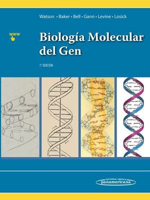 BIOLOG�A MOLECULAR DEL GEN