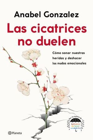 LAS CICATRICES NO DUELEN. CMO SANAR NUESTRAS HERIDAS Y DESHACER LOS N