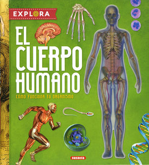 EL CUERPO HUMANO.  EXPLORA