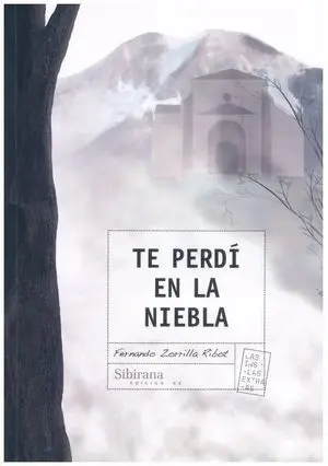 Te Perdi en la Niebla