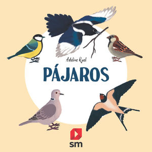 PAJAROS