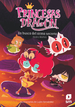 LAS PRINCESAS DRAGN 13: EN BUSCA DEL ARMA SECRETA