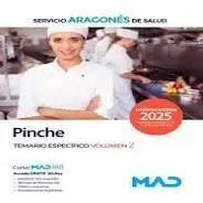 Pinche Temario Específico Vol. 2 Salud Aragon 2025