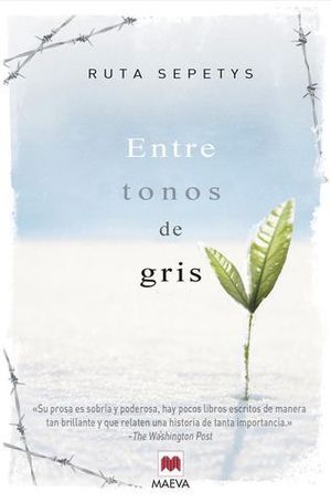 ENTRE TONOS DE GRISES