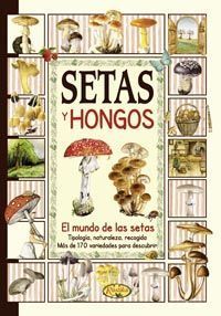SETAS Y HONGOS EL SABOR DE NUESTRA TIERRA