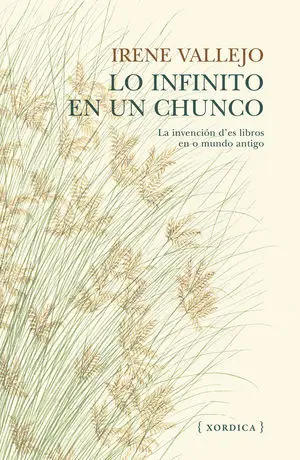 Lo Infinito en un Chunco