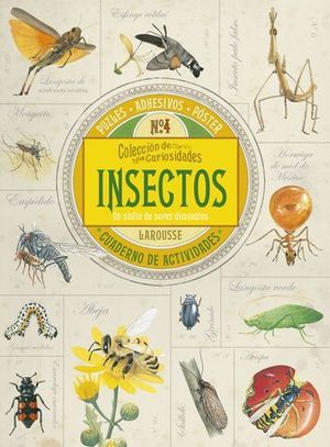 COLECCION DE CURIOSIDADES.  INSECTOS