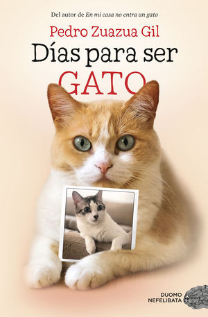 DIAS PARA SER GATO