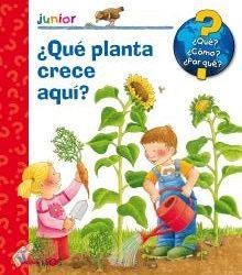 QUE PLANTA CRECE AQUI ?