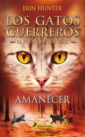 LOS GATOS GUERREROS 6.  AMANECER