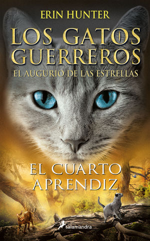 CUARTO APRENDIZ (GATOS: AUGURIO #1)