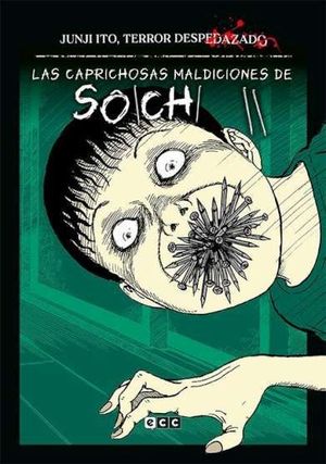 JUNJI ITO, TERROR DESPEDAZADO NM. 16 - LAS CAPRICHOSAS MALDICIONES DE SOICHI 2