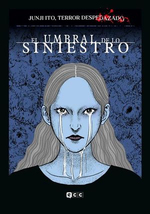 JUNJI ITO, TERROR DESPEDAZADO VOL. 22 DE 28 - EL UMBRAL DE LO SINIESTRO