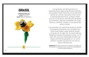 Lego Botanicals - Flores Silvestres