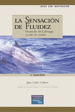 SENSACION DE FLUIDEZ, LA