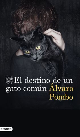 EL DESTINO DE UN GATO COMN.