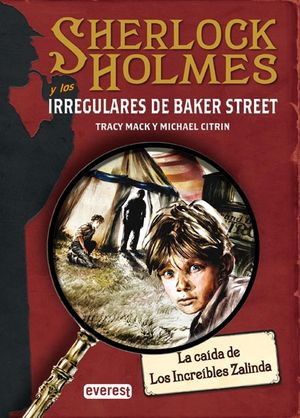 SHERLOCK HOLMES Y LOS IRREGULARES DE BAKER STREET