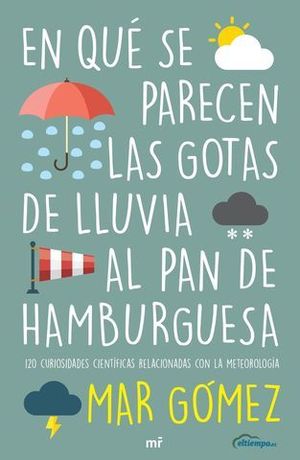 EN QUE SE PARECEN LAS GOTAS DE LLUVIA AL PAN DE HAMBURGUESA