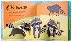BEBES ANIMALES.  10 POP UPS