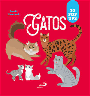 GATOS.  10 POP UPS