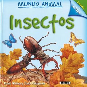 INSECTOS MUNDO ANIMAL