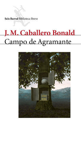CAMPO DE AGRAMANTE