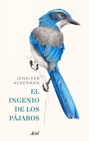 EL INGENIO DE LOS PAJAROS