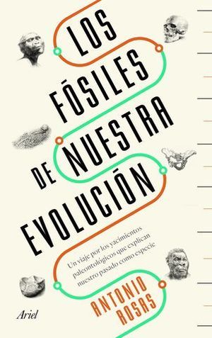 LOS FOSILES DE NUESTRA EVOLUCION