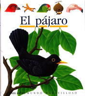 PAJARO, EL