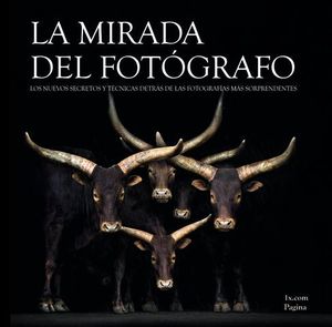 LA MIRADA DEL FOTOGRAFO