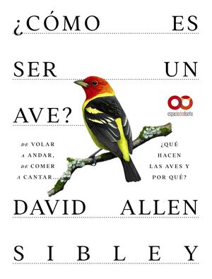 �C�MO ES SER UN AVE? DE VOLAR A ANIDAR, DE COMER A CANTAR... �QU� HACEN LAS AVES Y POR QU�?