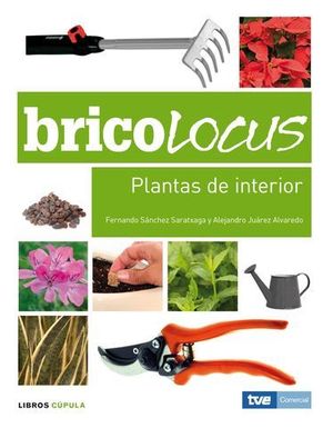BRICOLOCUS PLANTAS DE INTERIOR