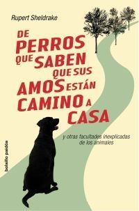 DE PERROS QUE SABEN QUE SUS AMOS ESTAN CAMINO DE CASA