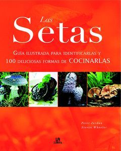 LAS SETAS