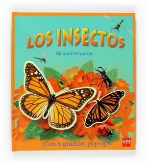 INSECTOS, LOS