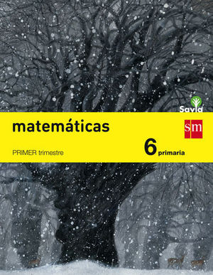 MATEMATICAS 6 EP SAVIA ED. 2015