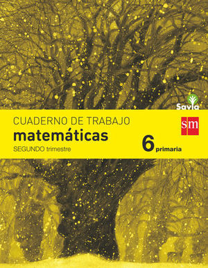 CUADERNO MATEMATICAS 6� EP SEGUNDO TRIMESTRE SAVIA