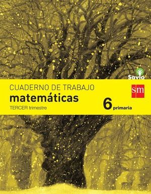 CUADERNO MATEMATICAS 6 EP. TERCER TRIMESTRE SAVIA