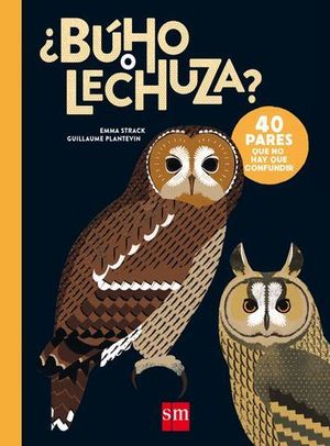 �B�HO O LECHUZA?