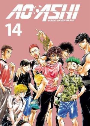 AO ASHI 14