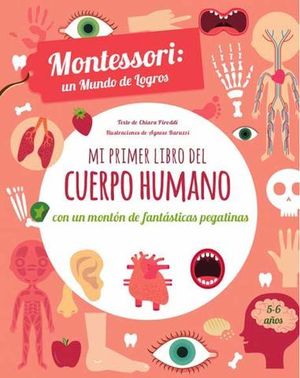 MI PRIMER LIBRO DEL CUERPO HUMANO. MONTESSORI MUNDO LOGROS ( VV KIDS )