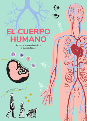 EL CUERPO HUMANO  ( VV KIDS )