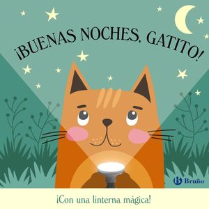 BUENAS NOCHES, GATITO !
