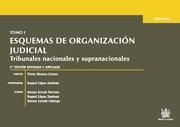 ESQUEMAS DE ORGANIZACION JUDICIAL TOMO I 2 ED. 2011