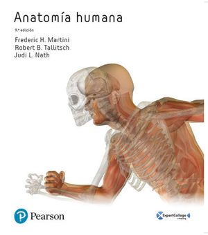 ANATOMIA HUMANA