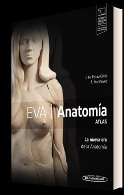 EVA ANATOMA. ATLAS